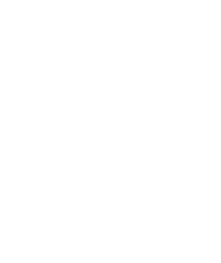 Ritz Leblon